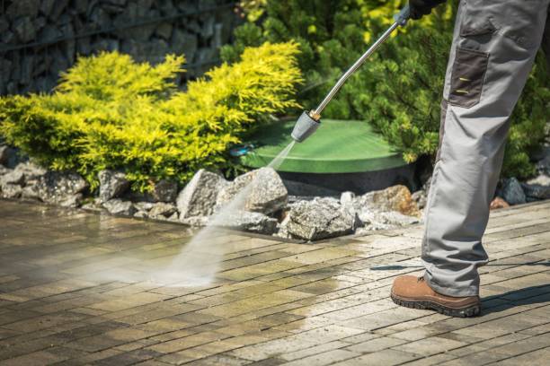Best House Exterior Washing  in Kelly Ridge, CA