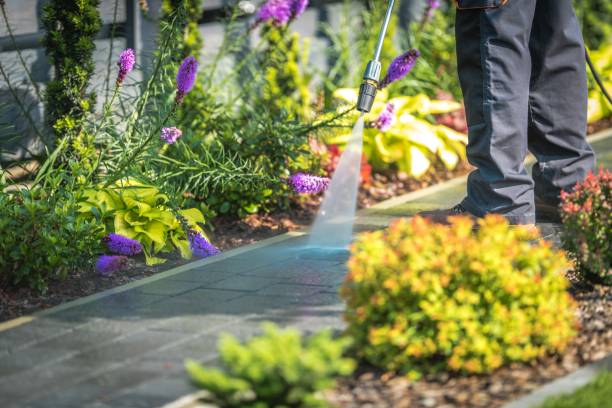 Best Restaurant Pressure Washing  in Kelly Ridge, CA